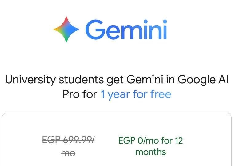 بالتعاون مع وزارة التعليم العالي وGoogle: مبادرة وطنية لتمكين الطلاب في مجالات الذكاء الاصطناعي